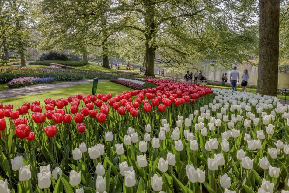 Garden path at Keukenhof Gardens, The Netherlands