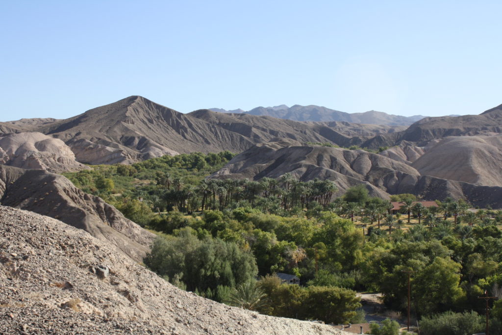 Date groves in China Ranch, Tecopa, California