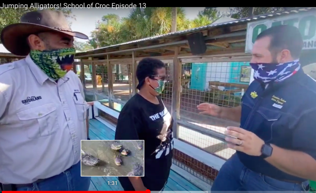 Gatorland's School of Croc videos