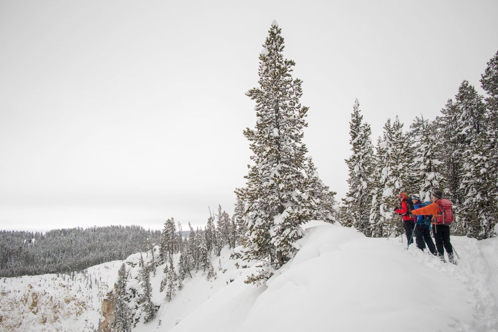 cross country skiers on ridge of snow.
