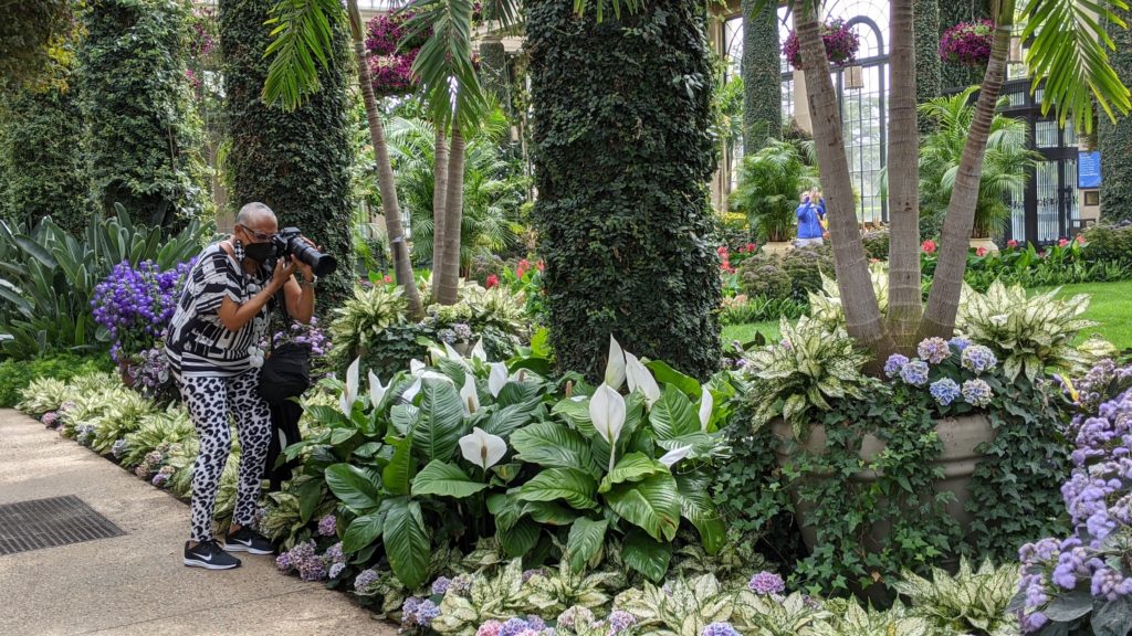 Black woman takes pictures in garden conservatory