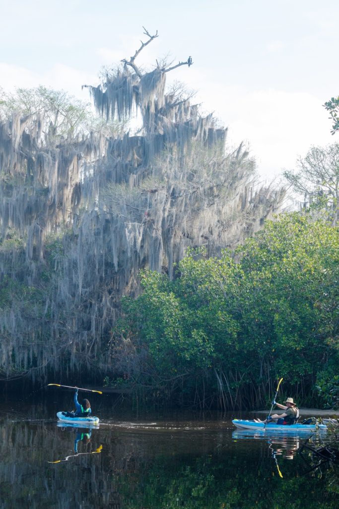 Two kayaks on the Wild & Scenic Loxahatchee River in Jupiter, Florida.