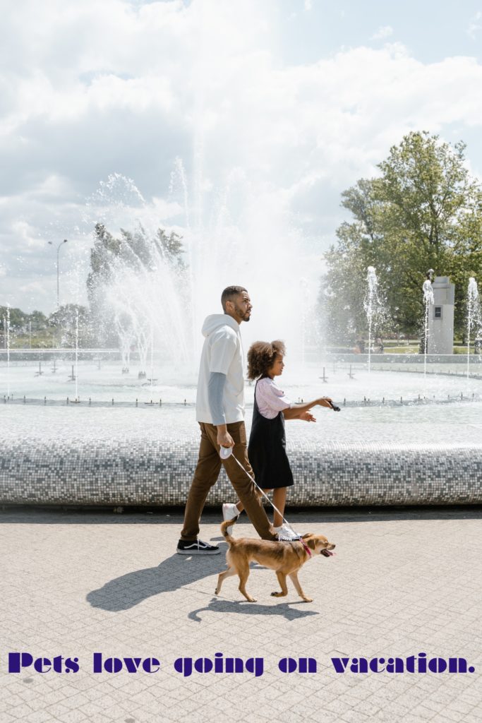 Man and girl walk dog around a fountain in Orlando.