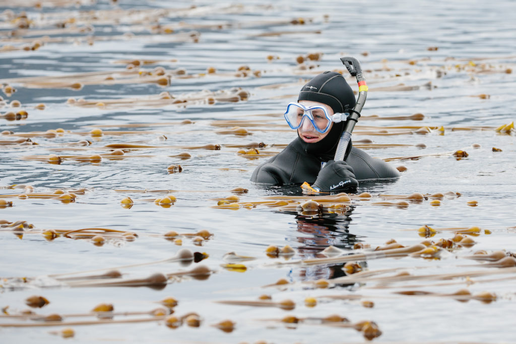 Woman snorkeling in Patterson Bay on an UnCruise Alaska adventure. Photo. c. UnCruise Adventures