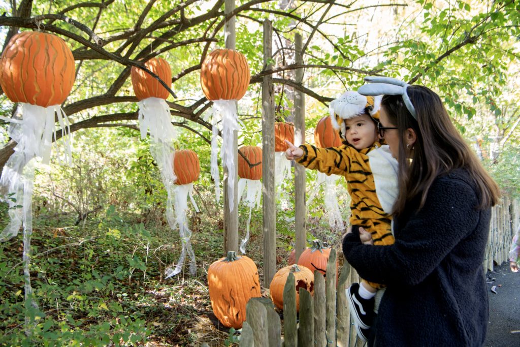 Mom and baby enjoy Boo at the Zoo event at New York's Bronx Zoo, photo by Julie Larsen-Maher c. WCS.