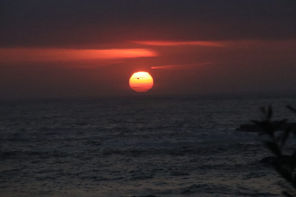 Sun setting off the Oregon coast. Photo by Lindsey Scot Ernst.
