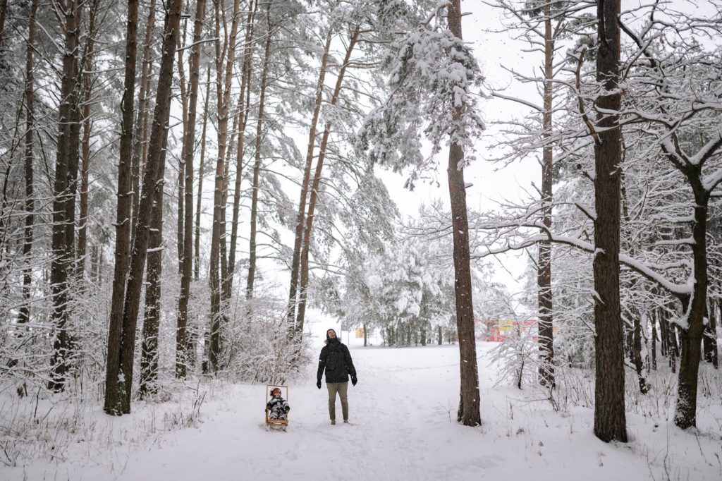 Dad and child on sled stroller go for walk in the woods on a snowy day.