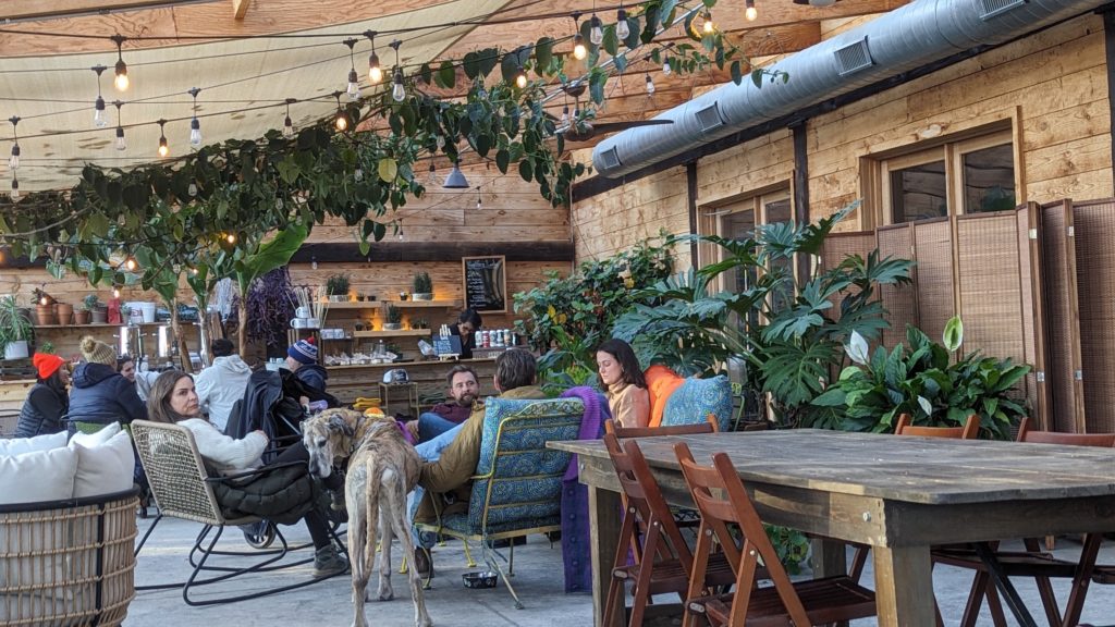 Greenhouse loung in the Arnold House welcomes families and pets to a new style of Catskills resort hotel.