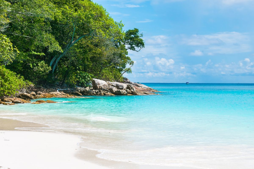 The Caribbean Sea off the eastern coast of Mexico has crystal clear water that beach-goers love.