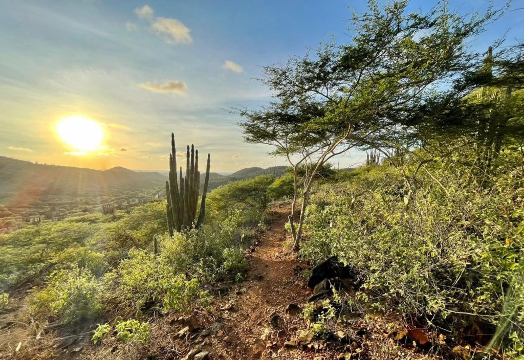 Sunset over Arikok National Park in Aruba. Photo c. Aruba National Parks Foundation