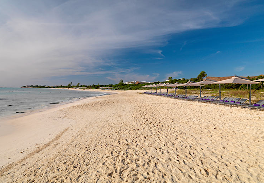 Empty gold sand beach with a row of sunchairs under umbrellas along the Caribbean coast of Mexico.