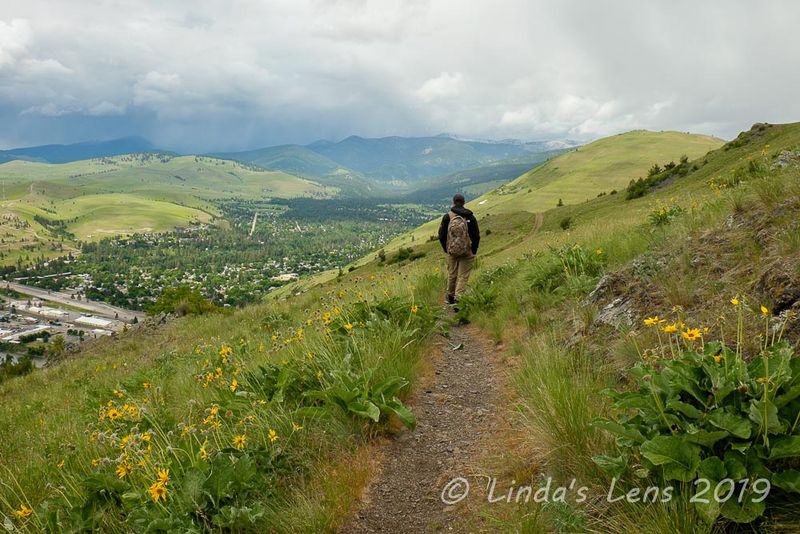 Mount Sentinel’s “M” Trail – Overplayed Urban Hike