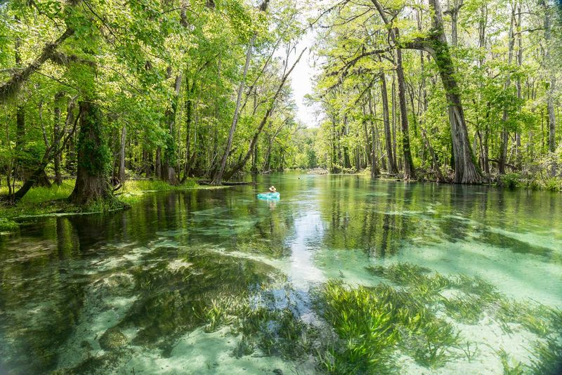 Ichetucknee Springs State Park: The Ultimate Natural Lazy River