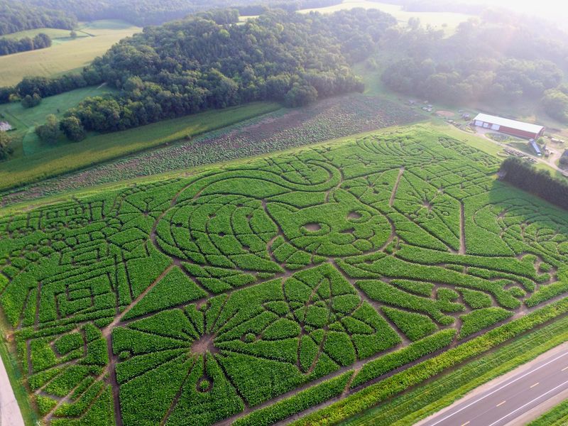 Treinen Farm in Lodi With Corn Mazes and Hayrides