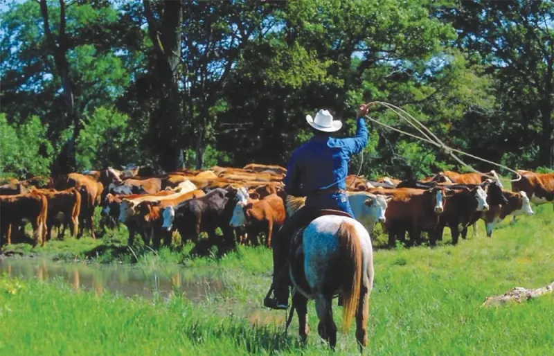 Stony Creek Ranch Resort (Lake George area)