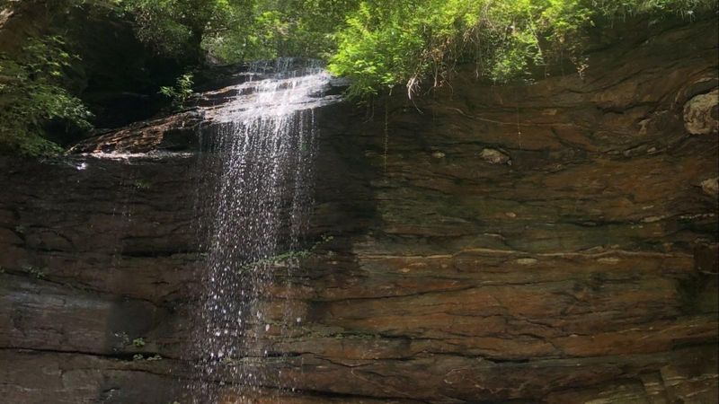 Moore Cove Falls in Pisgah National Forest