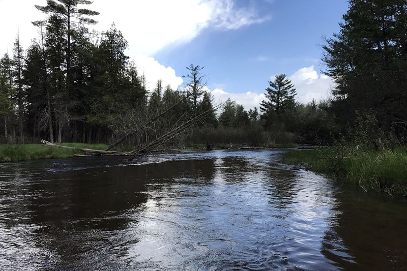 Au Sable River for Trout Near Grayling