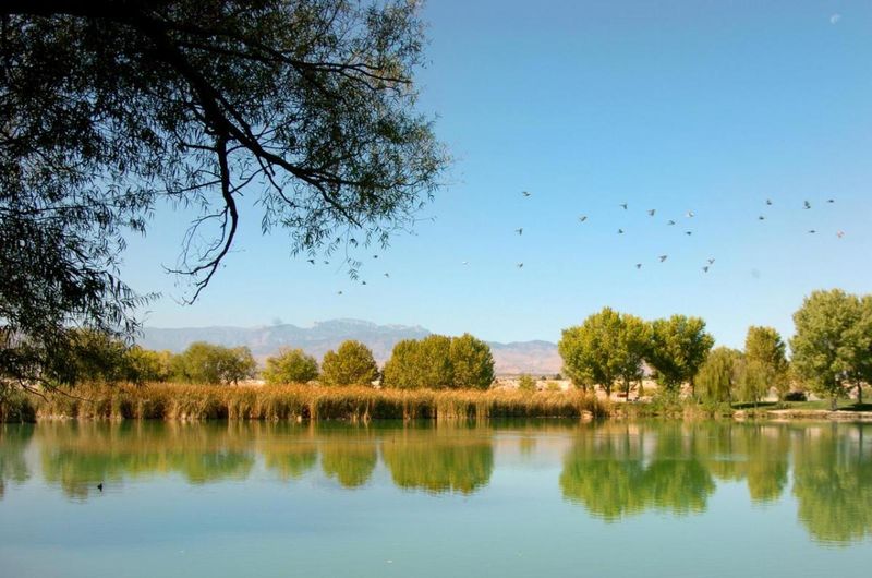 Floyd Lamb Park at Tule Springs