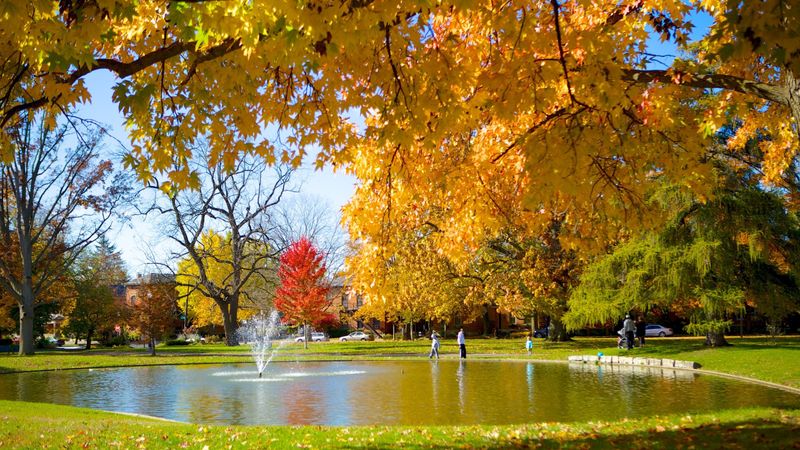 Schiller Park in Columbus