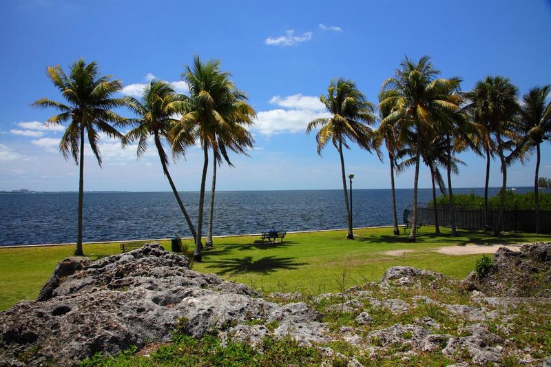 Miami Rock Ridge – Alice Wainwright Park (Miami)