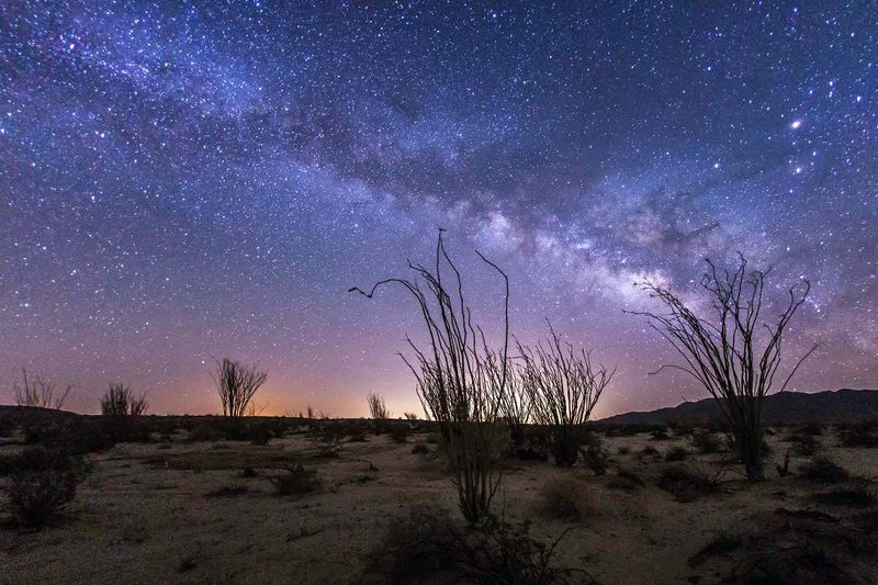 Anza Borrego Desert State Park