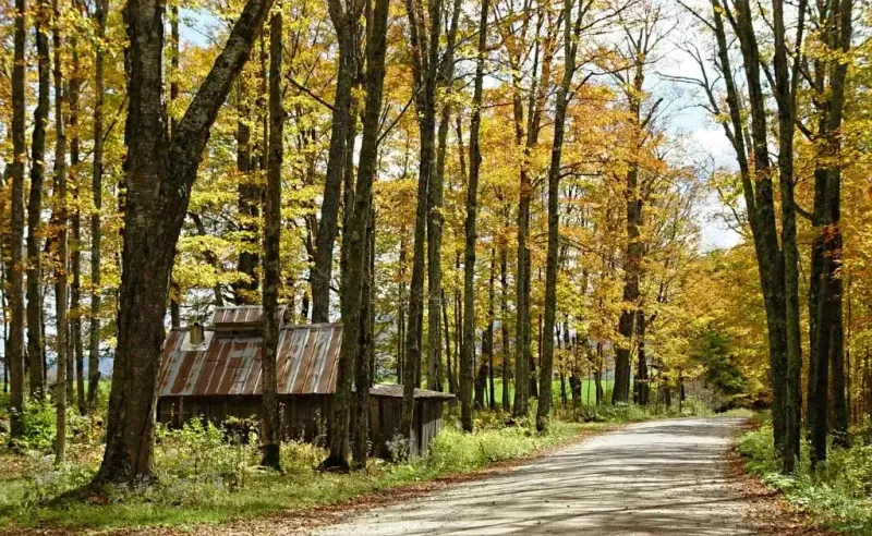 Scenic Route 100 Byway