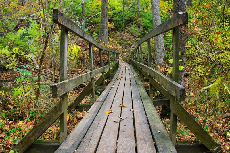 Yellow Springs
