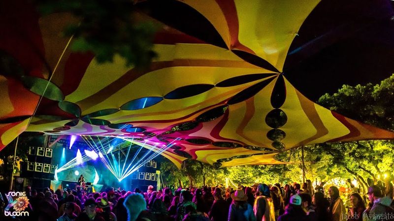 Sonic Bloom