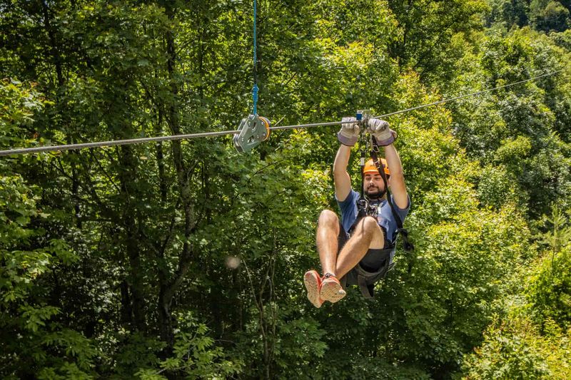 Gravity Ziplines at Adventures on the Gorge