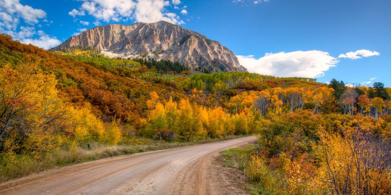 Kebler Pass Road Near Crested Butte