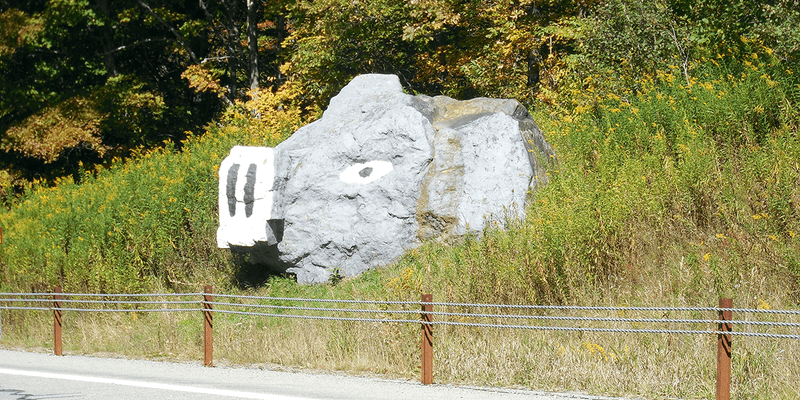 Painted Pig Rock