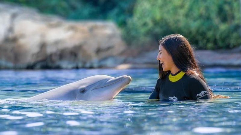 Discovery Cove Orlando