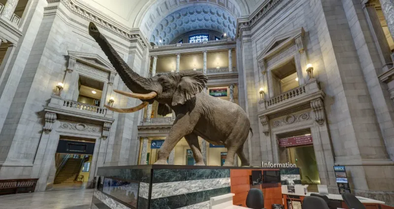 Smithsonian National Museum of Natural History