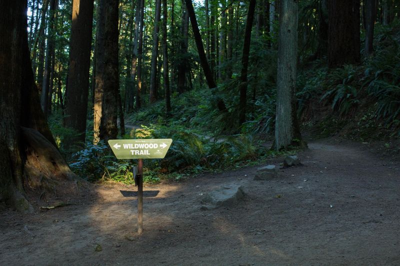Portland's Urban Wilderness: Forest Park
