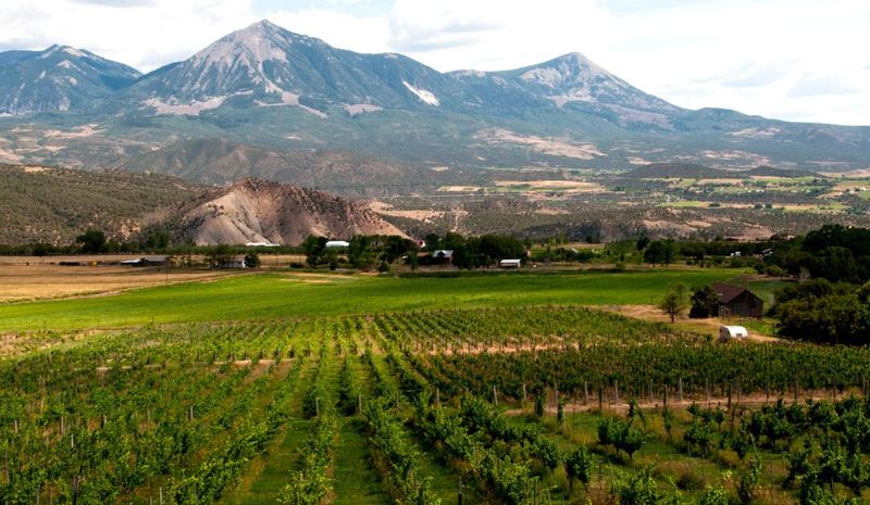 Paonia's Vineyard Valleys