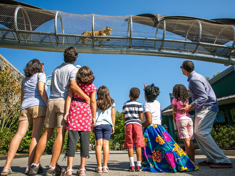 Philadelphia Zoo as the Nation’s First Zoo
