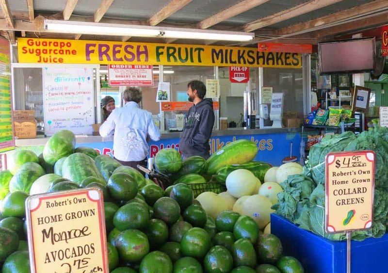The Shake Counter That Keeps Locals Coming Back
