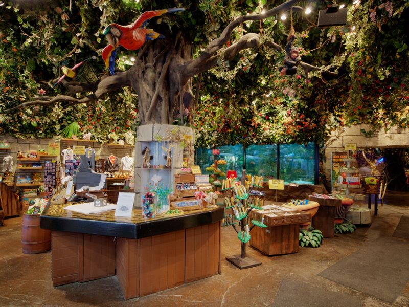 A Gift Shop That Extends the Visit