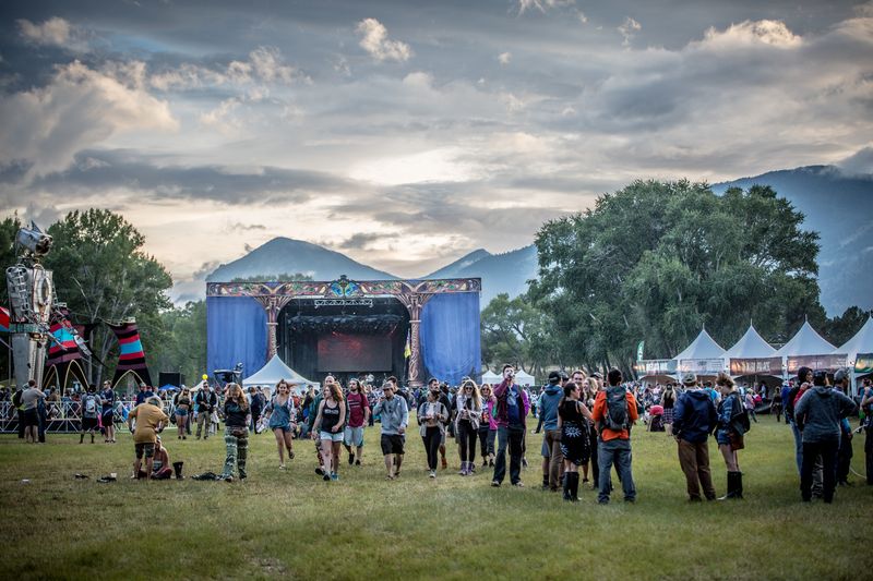 Vertex Festival
