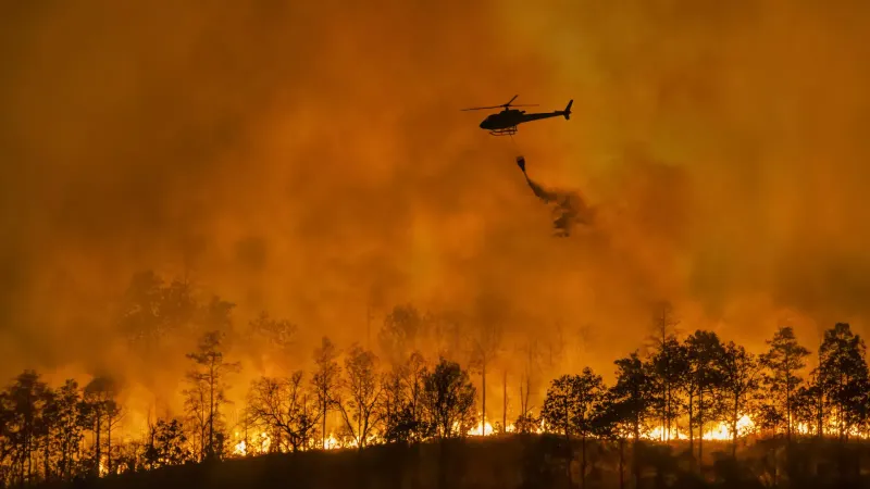 Wildfire Zones - Blocking Critical Firefighting