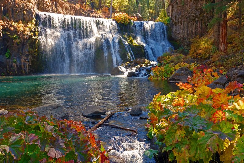 McCloud Falls (Shasta-Trinity National Forest)