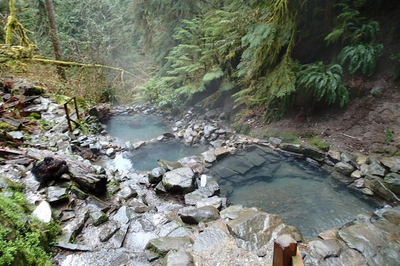 Terwilliger Hot Springs: Cascading Pools in Ancient Forest