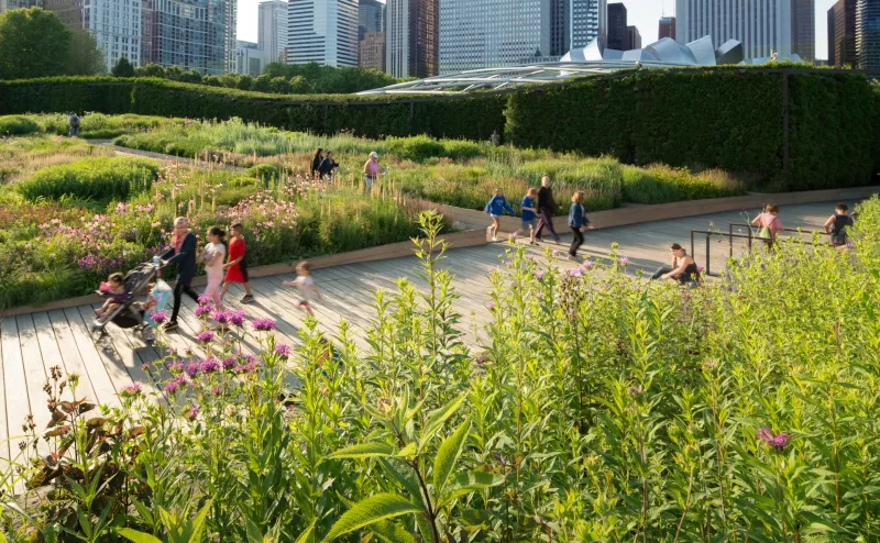 Lurie Garden