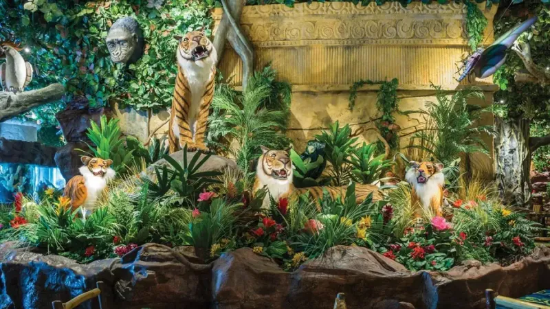 The Soundtrack of the Wild