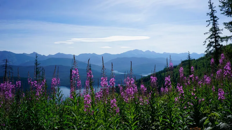 Pioneer Ridge Trail