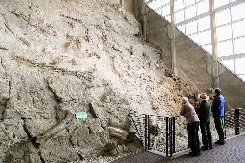 Dinosaur National Monument: Jurassic Treasure Trove