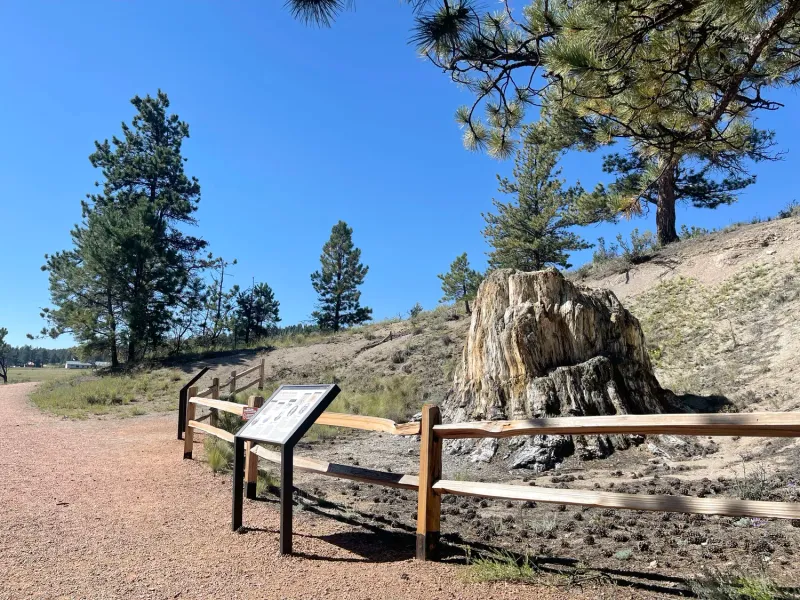 Florissant Fossil Beds: Ancient Forest Frozen in Time