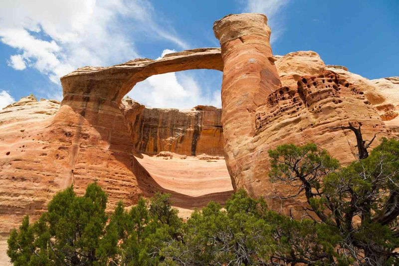 Rattlesnake Arches: The Hidden Canyon Wonderland
