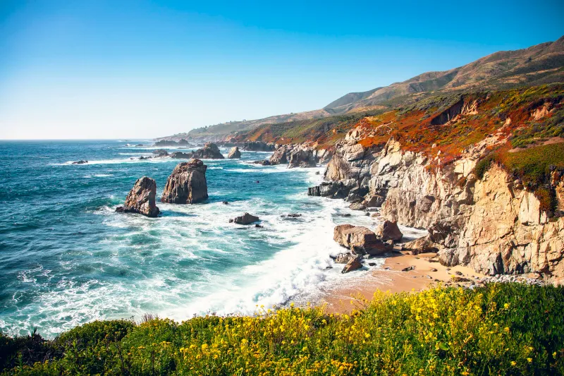 Garrapata State Park Beach: Wildflower Wonderland