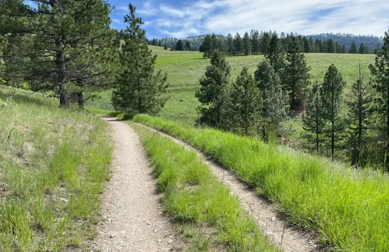 Pattee Canyon – Crowded, Flat, and Forgettable